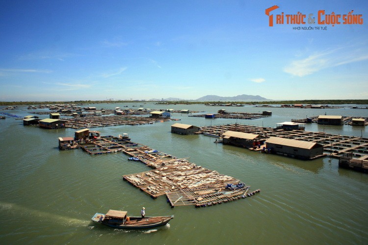 Du ngoan lang be noi tieng nam canh Vung Tau-Hinh-2