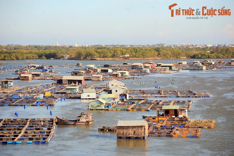 Du ngoan lang be noi tieng nam canh Vung Tau-Hinh-3