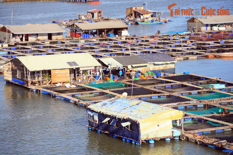 Du ngoan lang be noi tieng nam canh Vung Tau-Hinh-6