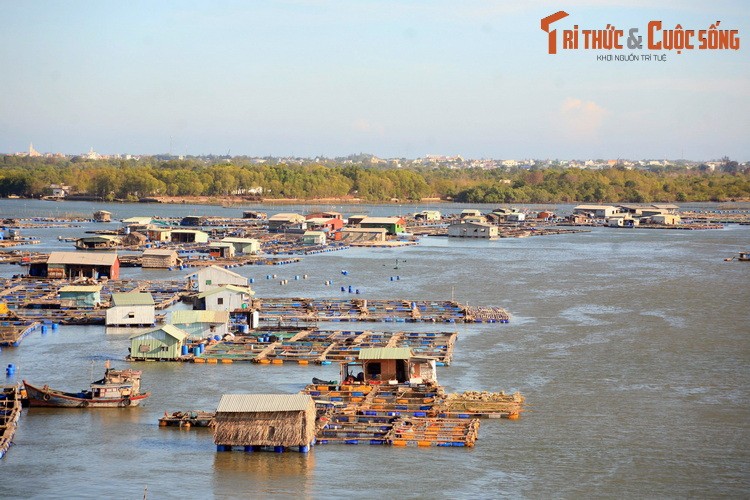 Du ngoan lang be noi tieng nam canh Vung Tau-Hinh-7