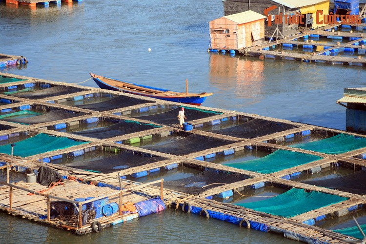 Du ngoan lang be noi tieng nam canh Vung Tau-Hinh-8