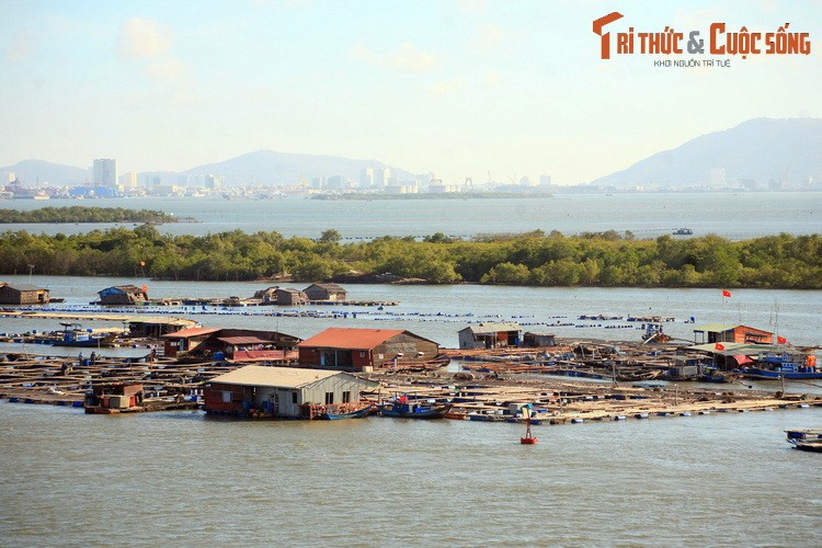 Du ngoan lang be noi tieng nam canh Vung Tau