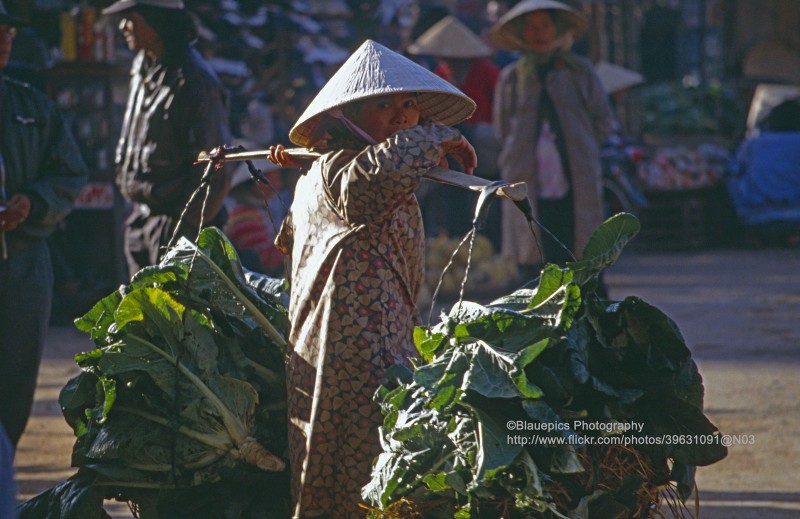 Hanh trinh TPHCM len Da Lat cuc doc la nam 1993-Hinh-12