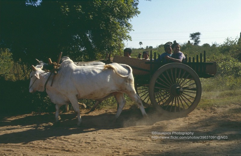 Kham pha thanh dia Bagan o Myanmar nam 1992-Hinh-10