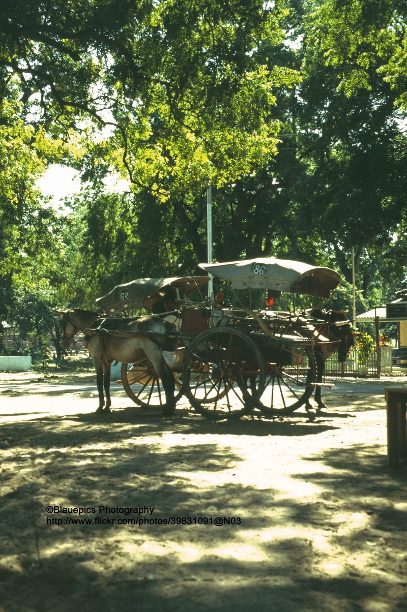 Kham pha thanh dia Bagan o Myanmar nam 1992-Hinh-11