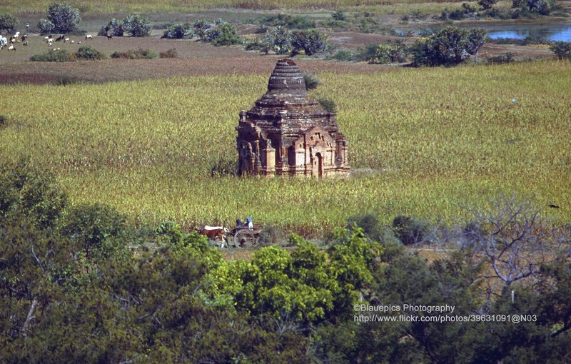 Kham pha thanh dia Bagan o Myanmar nam 1992-Hinh-6