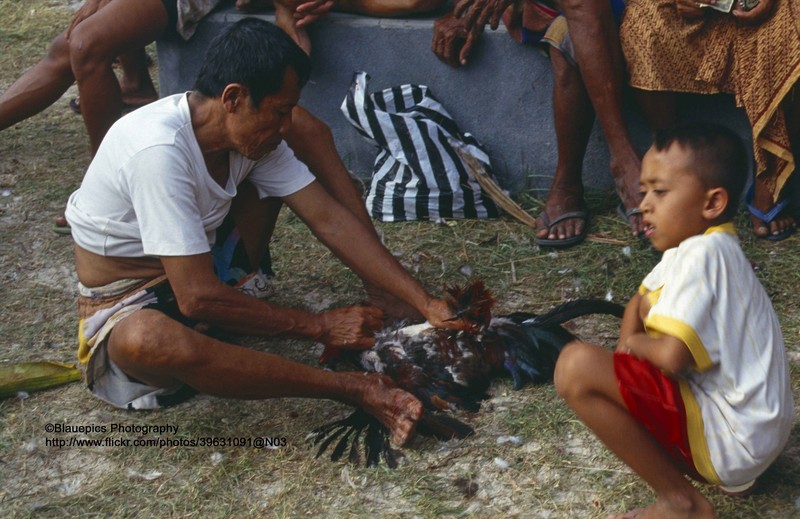 Thien duong du lich Bali vo cung doc dao nam 1991-Hinh-11