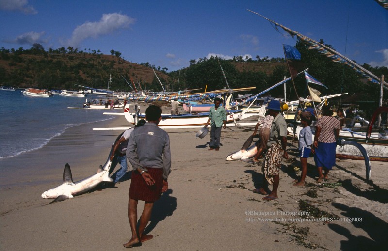 Thien duong du lich Bali vo cung doc dao nam 1991-Hinh-2