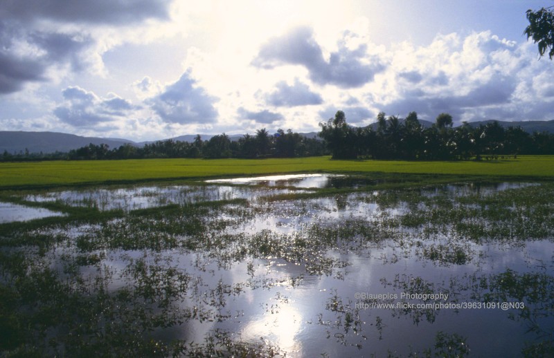 Loat anh ghi lai hanh trinh tu Nha Trang di Hue nam 1993 cua khach Tay-Hinh-12