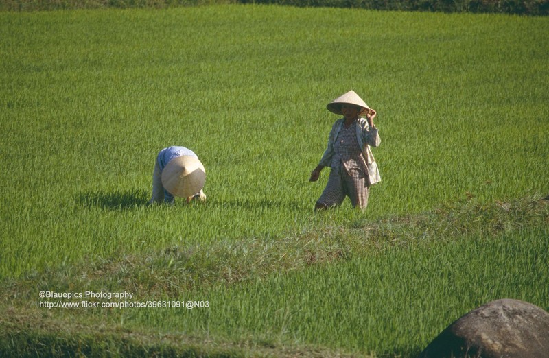 Loat anh ghi lai hanh trinh tu Nha Trang di Hue nam 1993 cua khach Tay-Hinh-9