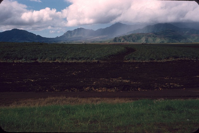 Cuoc song 'nhu tien' tren dao Hawaii 7 thap ky truoc-Hinh-9