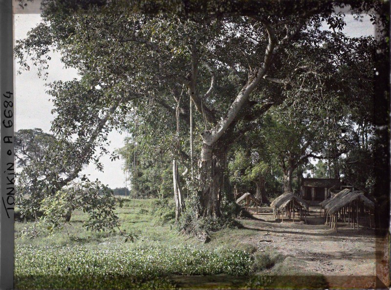 Khung canh lang que tinh Ha Dong nam 1915 qua loat anh mau quy-Hinh-3