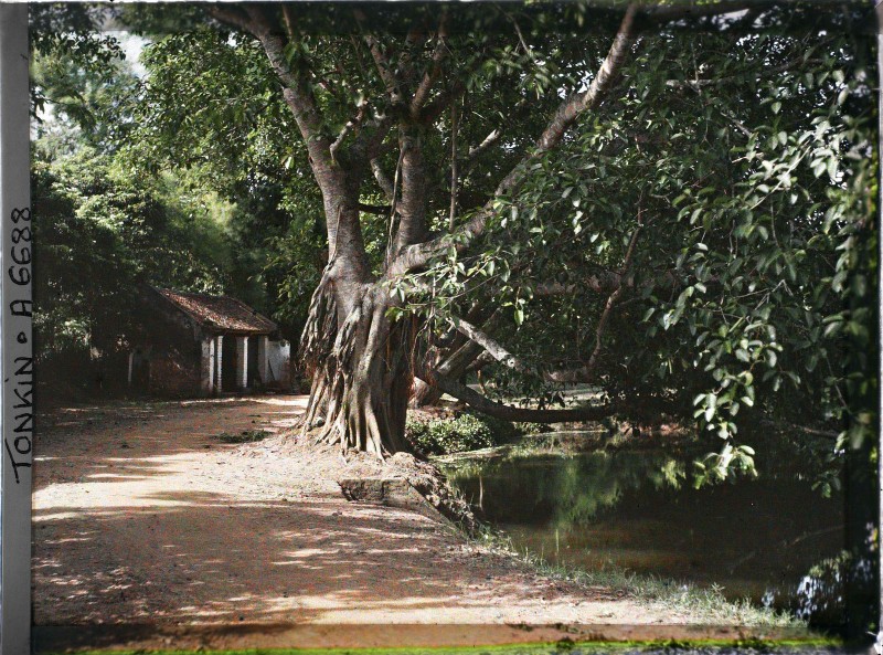 Khung canh lang que tinh Ha Dong nam 1915 qua loat anh mau quy-Hinh-7