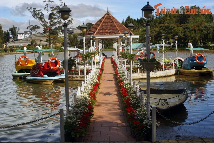 Kham pha bao tang ve cac loai hoa lau doi, hut khach nhat Da Lat-Hinh-10