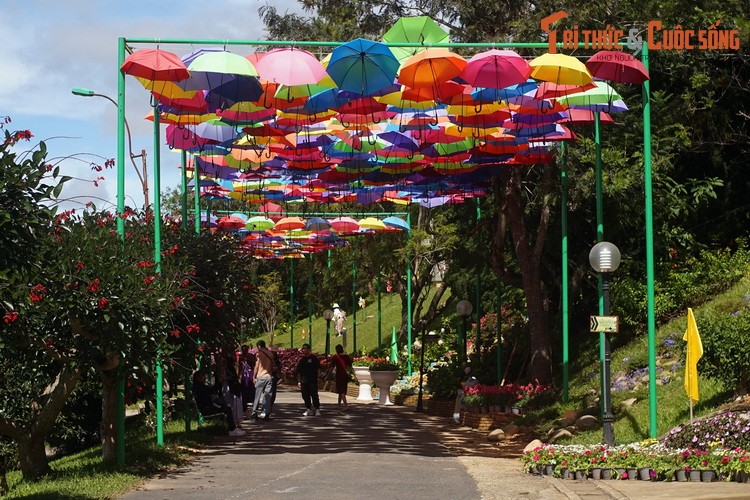 Kham pha bao tang ve cac loai hoa lau doi, hut khach nhat Da Lat-Hinh-13