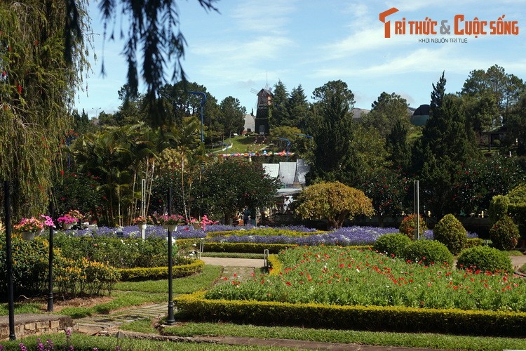 Kham pha bao tang ve cac loai hoa lau doi, hut khach nhat Da Lat-Hinh-2