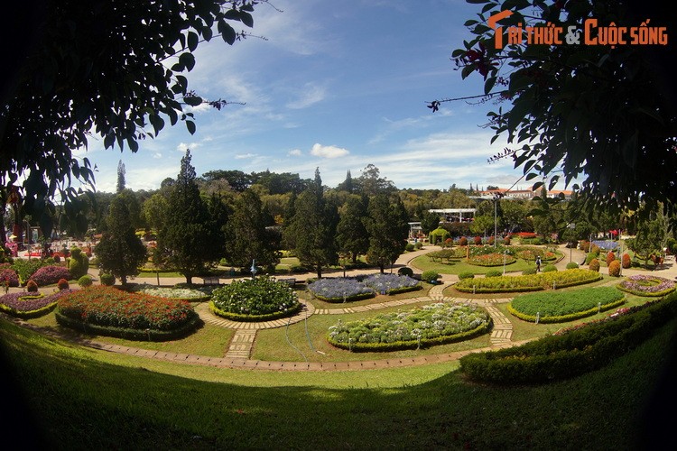 Kham pha bao tang ve cac loai hoa lau doi, hut khach nhat Da Lat-Hinh-3