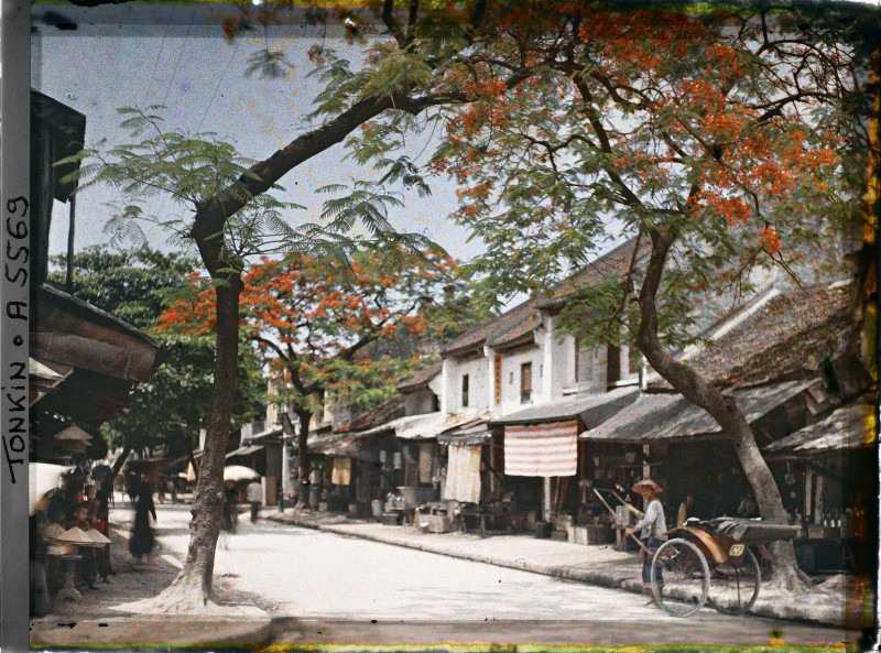 Pho Ha Noi nam 1915 rop bong cay xanh qua anh mau cuc quy-Hinh-4