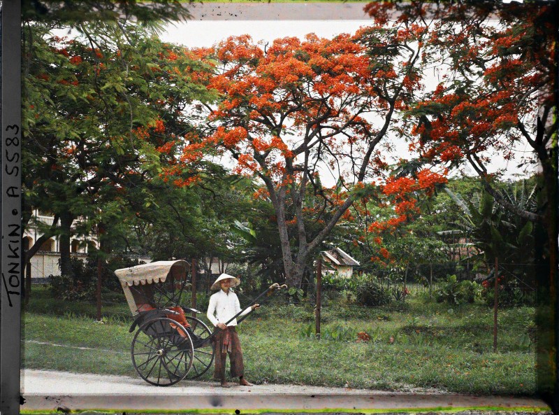 Pho Ha Noi nam 1915 rop bong cay xanh qua anh mau cuc quy-Hinh-9