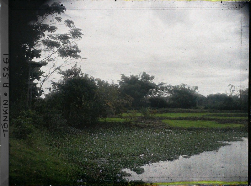 Cuoc song nong thon Bac Bo binh di trong anh mau tram tuoi-Hinh-4