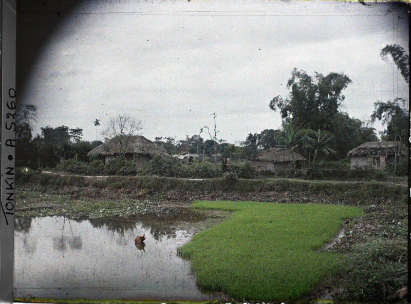 Cuoc song nong thon Bac Bo binh di trong anh mau tram tuoi-Hinh-8