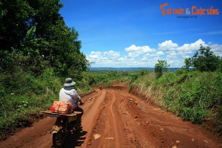 Kham pha canh quan thien nhien an tuong va san vat tru phu o Binh Phuoc-Hinh-11