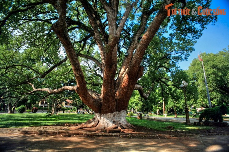 Di xem dinh thu dep noi tieng cua vua Bao Dai o Buon Ma Thuot-Hinh-10