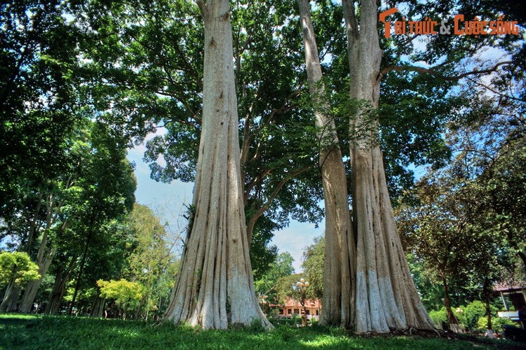 Di xem dinh thu dep noi tieng cua vua Bao Dai o Buon Ma Thuot-Hinh-8