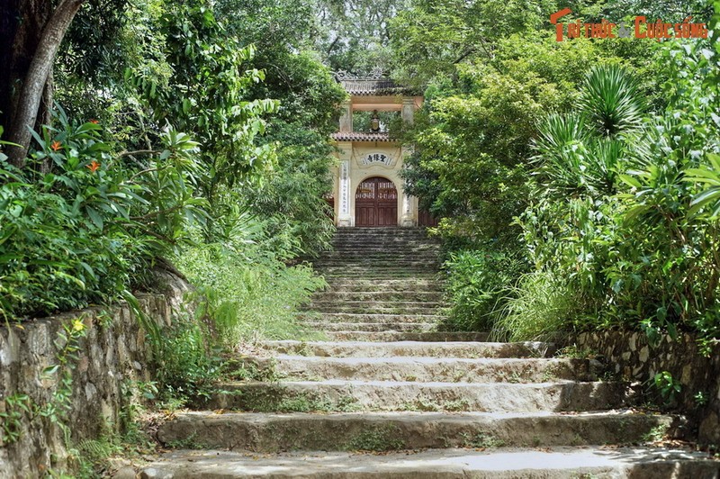 Man nhan canh tuong tuyet voi tren duong tu Hue di Da Nang-Hinh-4