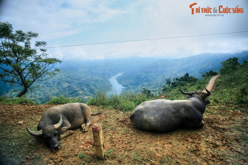 Ve dep cua cung duong Muong Khuong - Bac Ha-Hinh-9