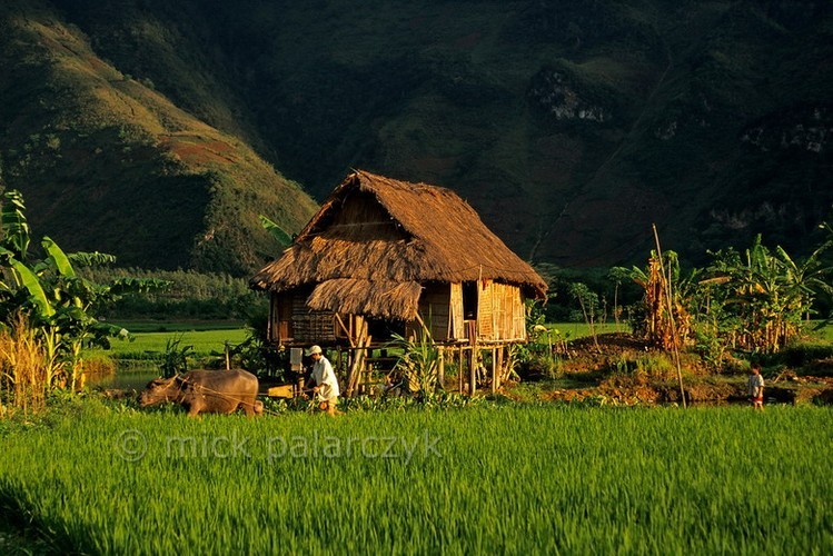 Anh dep ve phong canh Tay Bac hon mot thap nien truoc-Hinh-6