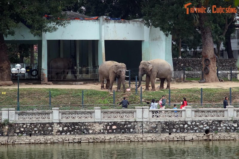 He lo “bi mat lich su” thu vi cua Cong vien Thu Le Ha Noi-Hinh-4