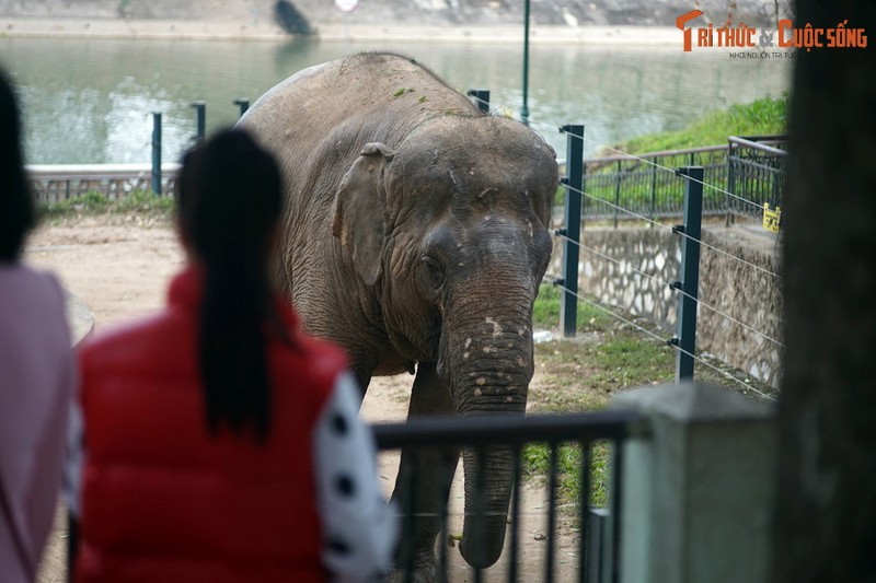 He lo “bi mat lich su” thu vi cua Cong vien Thu Le Ha Noi-Hinh-6