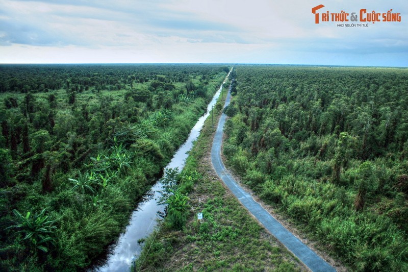 Lac loi o khu rung dam lay than bun co mot khong hai o Viet Nam-Hinh-5