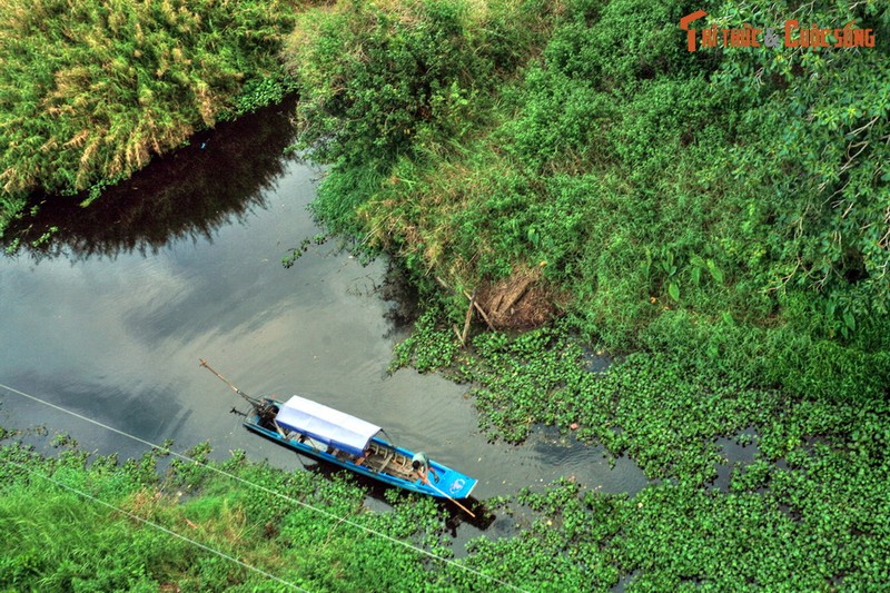 Lac loi o khu rung dam lay than bun co mot khong hai o Viet Nam-Hinh-9