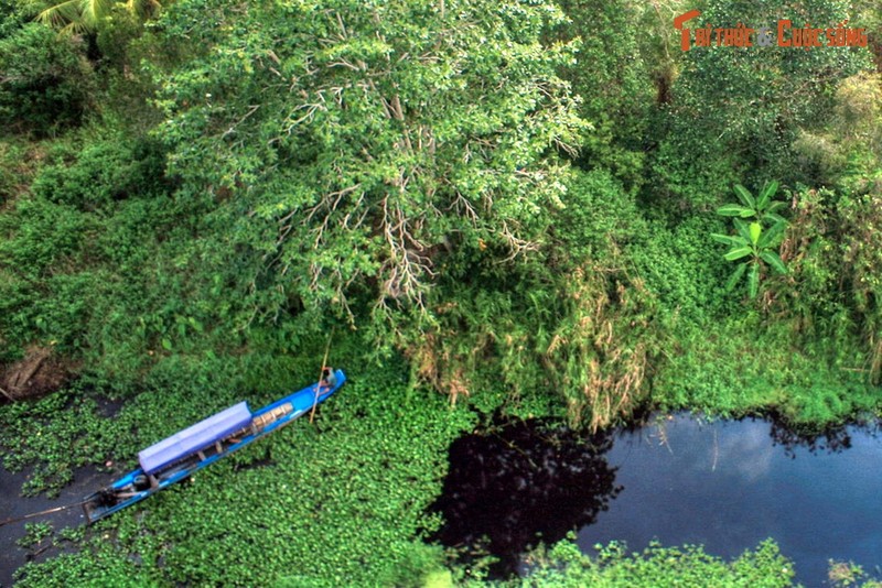 Lac loi o khu rung dam lay than bun co mot khong hai o Viet Nam-Hinh-4