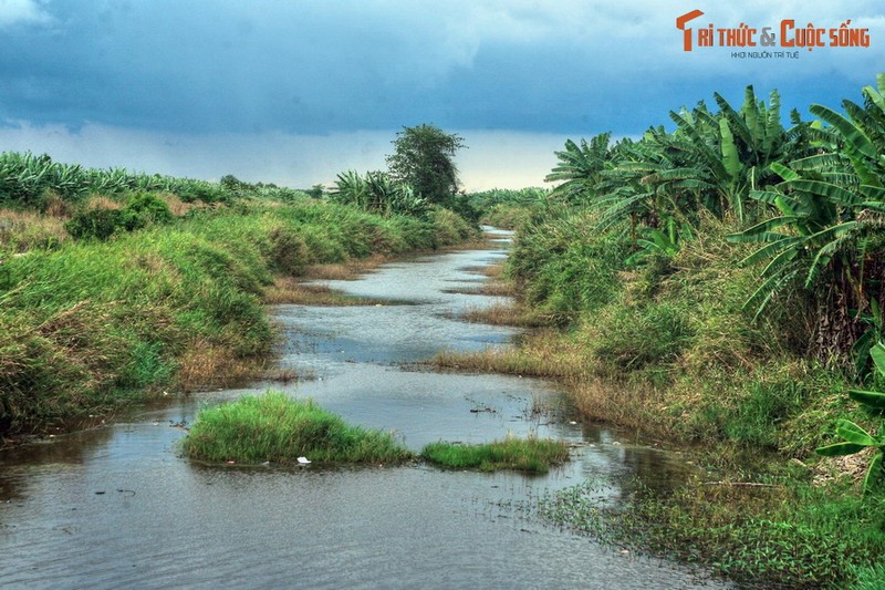 Lac loi o khu rung dam lay than bun co mot khong hai o Viet Nam