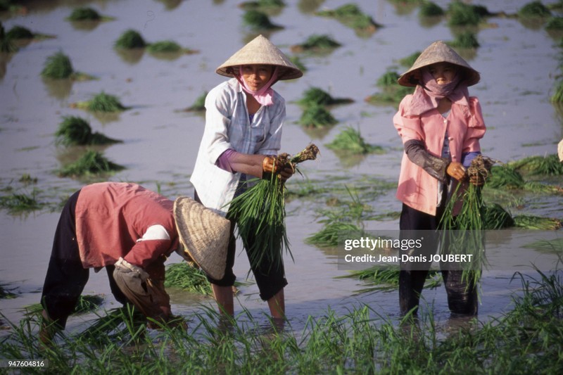 Ngam Viet Nam cuoi thap nien 1990 qua loat anh dat gia-Hinh-16