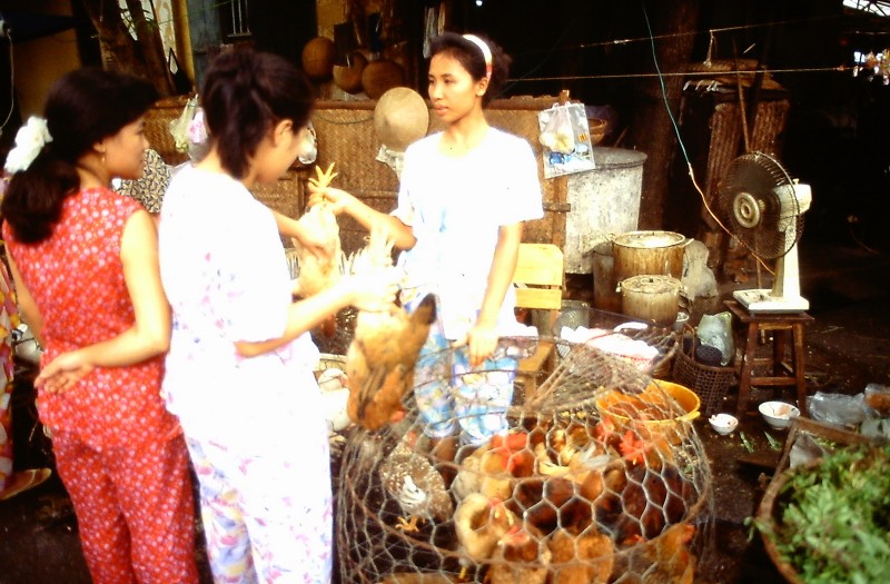 Cuoc song nhon nhip o khu pho co Ha Noi nam 1995-Hinh-5