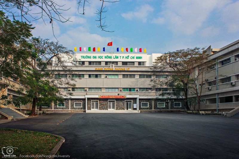 ĐH Nông Lâm TP HCM: Nhà thầu nào trúng gói sửa chữa khu nội trú ? - Hình 2 DH Nong Lam TP HCM: Nha thau nao trung goi sua chua khu noi tru ?-Hinh-2