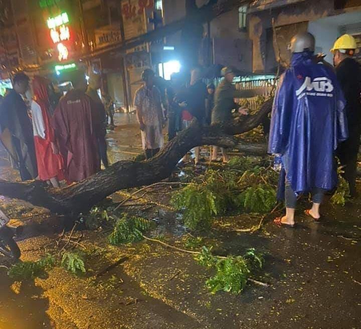 Vu cay xanh tet nhanh de chet nguoi o TP HCM: Chinh quyen noi gi?