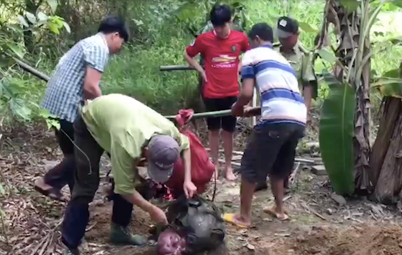 Nhom “lam tac” xe thit bo tot, dung binh xit hoi cay tan cong kiem lam-Hinh-2