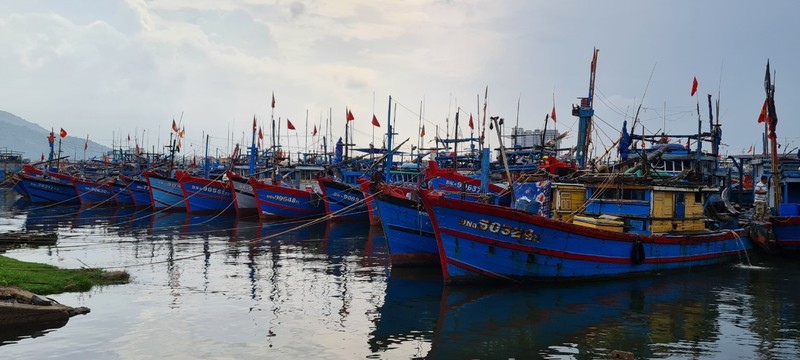 Da Nang hoi ha ung pho sieu bao Noru chuan bi do bo-Hinh-12