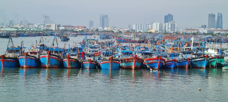 Da Nang hoi ha ung pho sieu bao Noru chuan bi do bo-Hinh-13