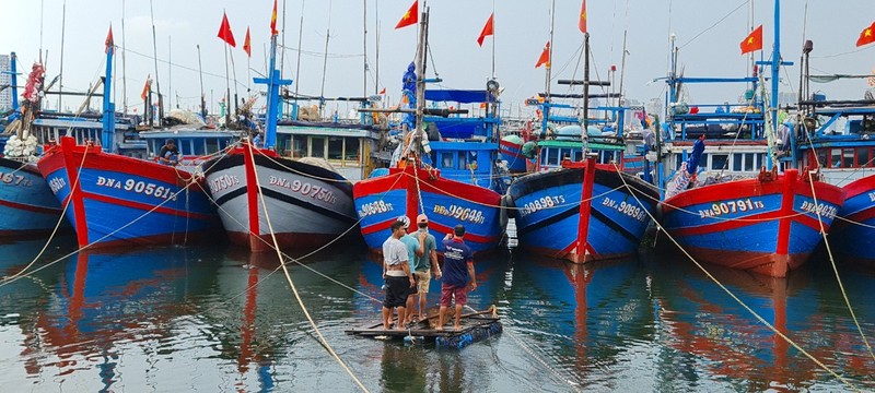 Da Nang hoi ha ung pho sieu bao Noru chuan bi do bo-Hinh-6