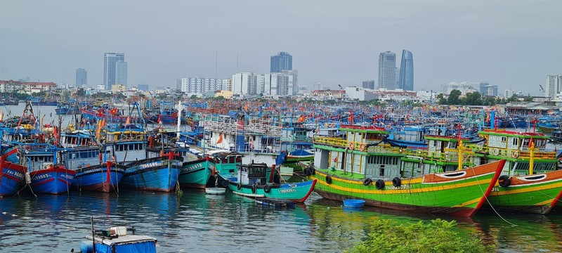 Da Nang hoi ha ung pho sieu bao Noru chuan bi do bo-Hinh-7