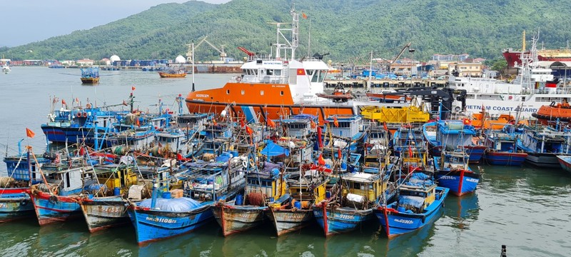 Da Nang hoi ha ung pho sieu bao Noru chuan bi do bo-Hinh-9