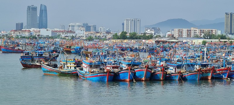 Da Nang hoi ha ung pho sieu bao Noru chuan bi do bo-Hinh-10