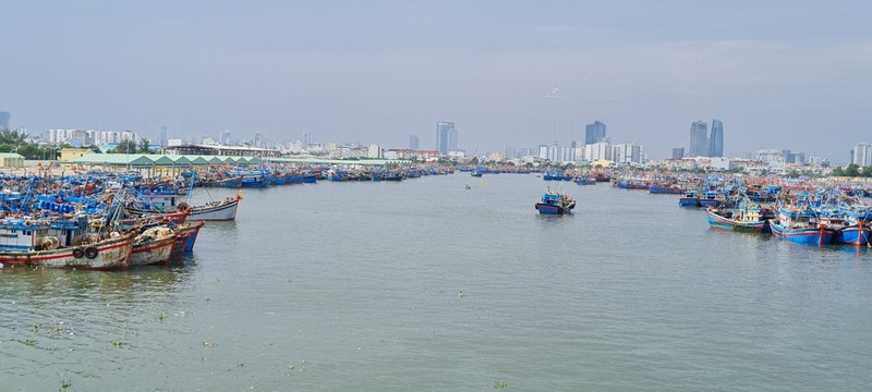 Da Nang hoi ha ung pho sieu bao Noru chuan bi do bo-Hinh-14