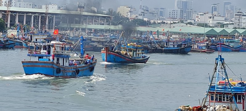 Da Nang hoi ha ung pho sieu bao Noru chuan bi do bo-Hinh-8